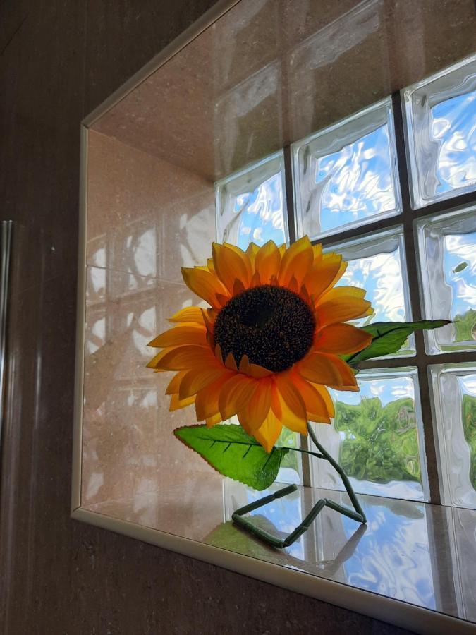 Sunflower Sea View With Magnificent Terrace In Serra Da Pescaria, Nazare - Portugal Eksteriør bilde